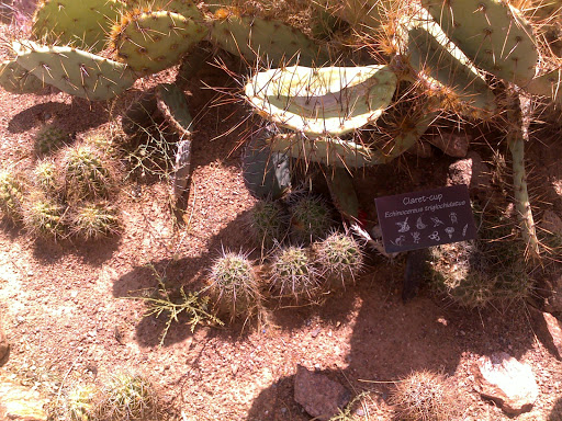 Park «Wyler Aerial Tramway», reviews and photos, 1700 McKinley Ave, El Paso, TX 79930, USA