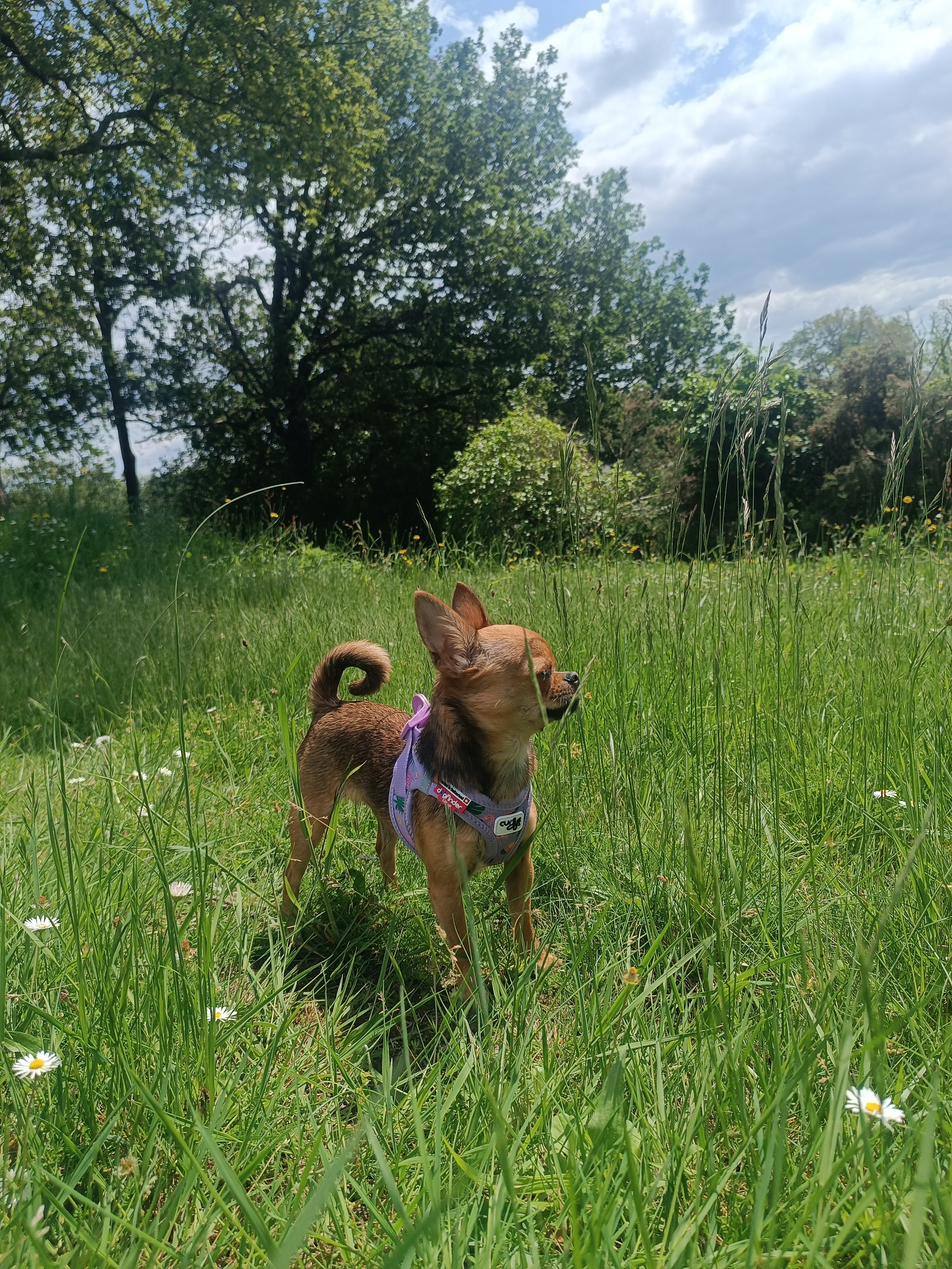 Photo n° 2 de l'avis de Fanny.o fait le 16/05/2023 à 12:46
