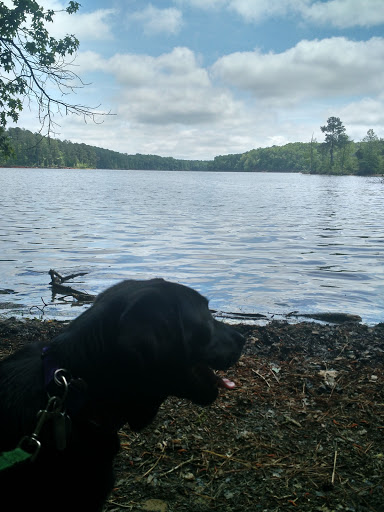 Recreation Center «Go Ape Zip Line & Treetop Adventure - Blue Jay Point County Park», reviews and photos, 3200 Pleasant Union Church Rd, Raleigh, NC 27614, USA