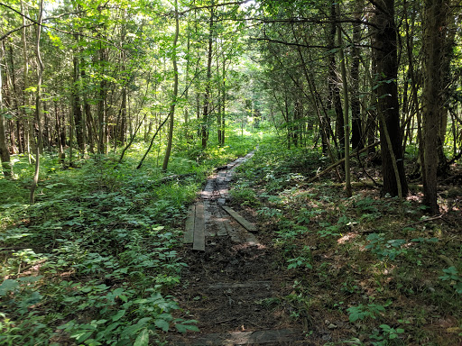 Nature Preserve «Bergen Swamp Preservation Society», reviews and photos, 6646 Hessenthaler Rd, Byron, NY 14422, USA