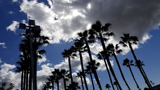 Shopping Mall «Los Altos Gateway», reviews and photos, 2840 N Bellflower Blvd, Long Beach, CA 90815, USA