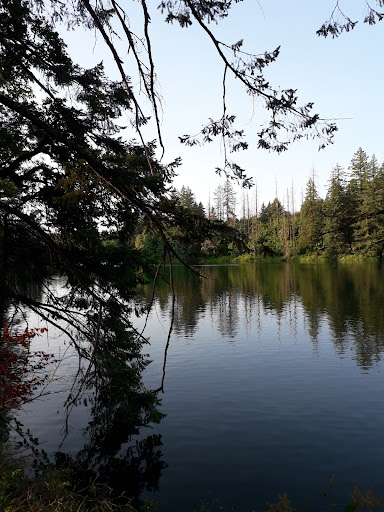 Produce Market «Camas Produce», reviews and photos, 2940 NE Everett St, Camas, WA 98607, USA