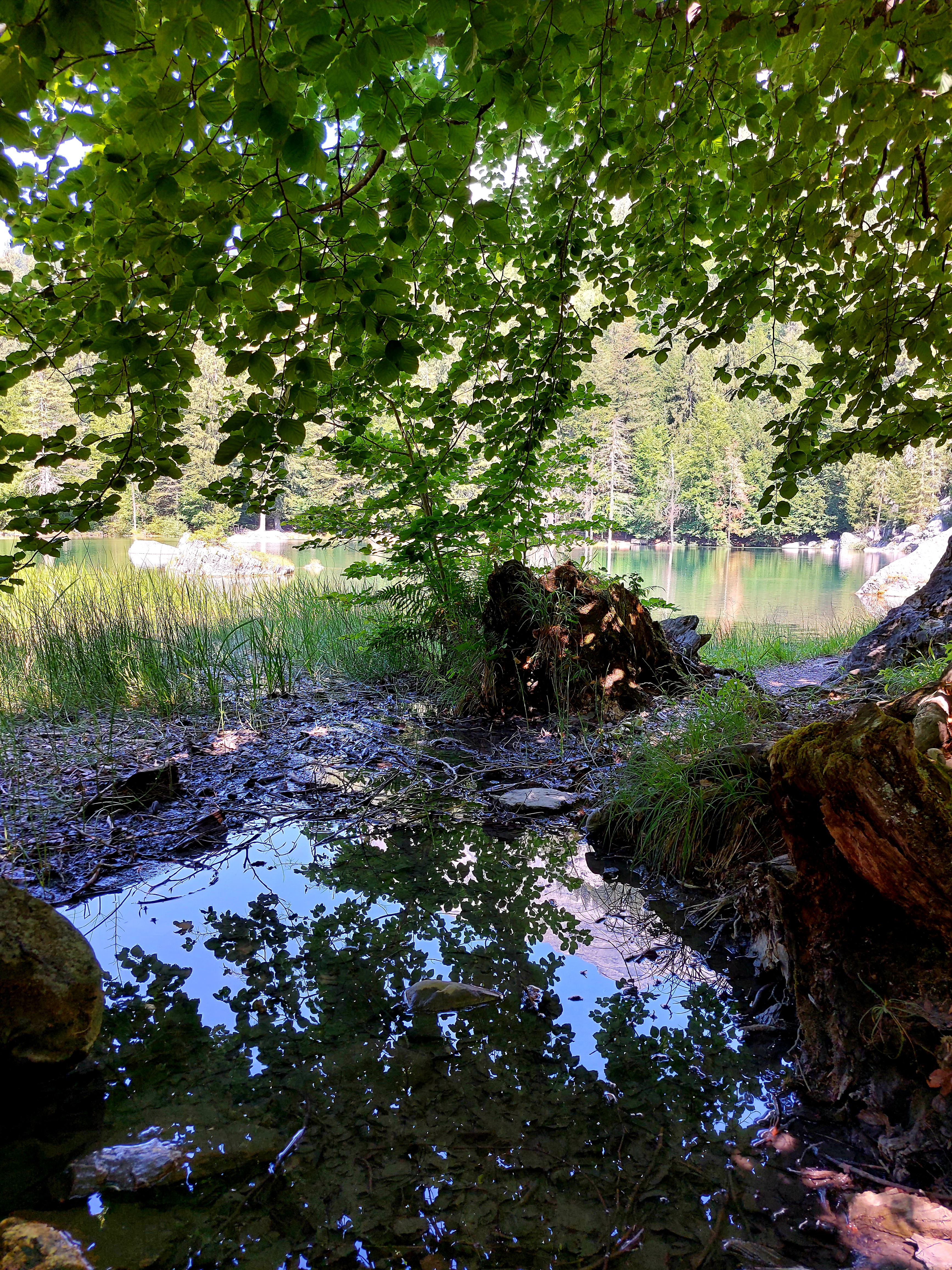 Photo n° 7 de l'avis de N'zo.I fait le 22/07/2022 à 17:11