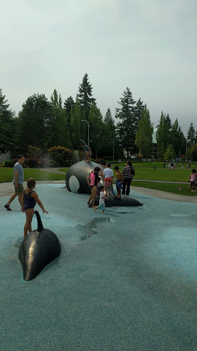 Park «Crossroads Water Spray Playground», reviews and photos, 999 165th Ave NE, Bellevue, WA 98008, USA