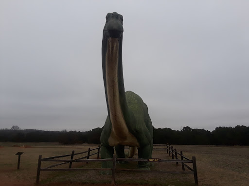 Gift Shop «Dinosaur Valley State Park Store», reviews and photos, 1629 Park Rd 59, Glen Rose, TX 76043, USA
