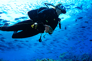 Blue Life SCUBA Diving and Freediving image