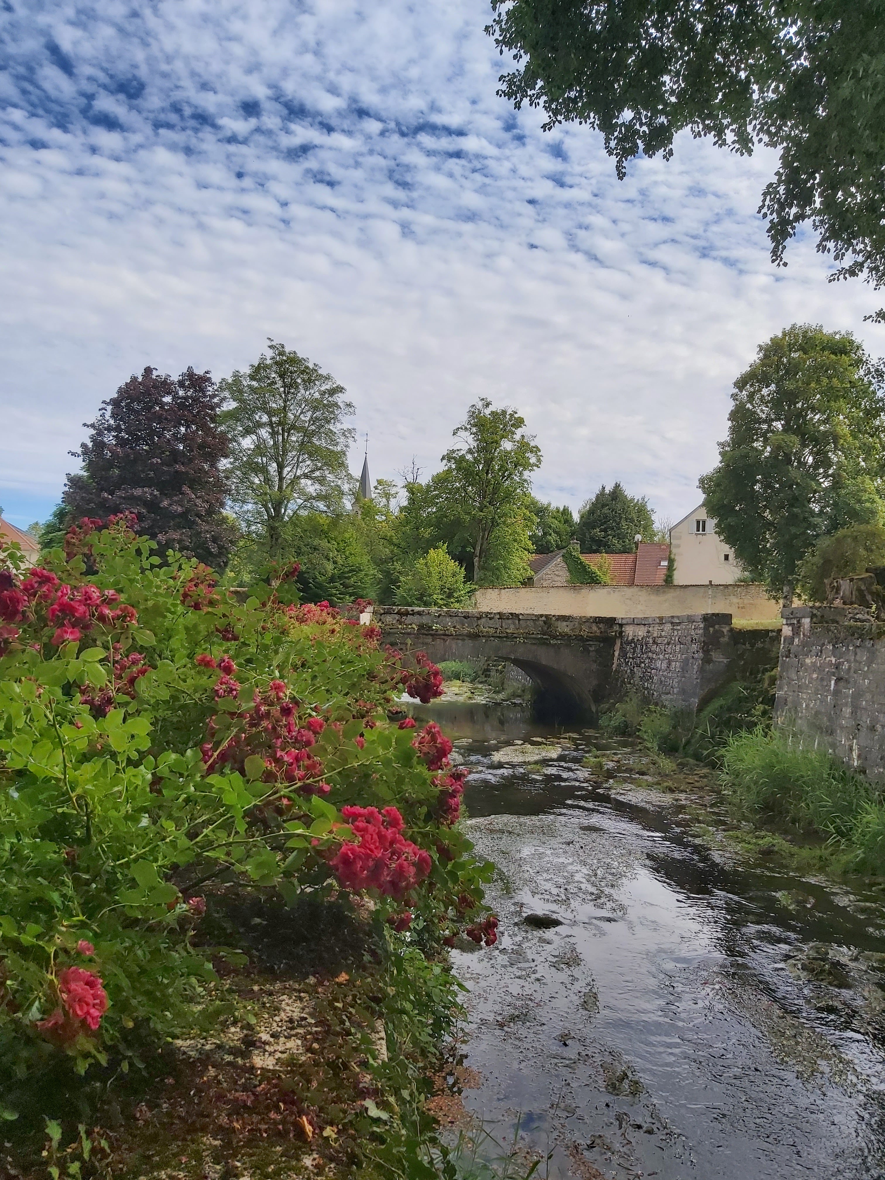 Photo n° 1 de l'avis de Laurent.a fait le 21/07/2022 à 13:20