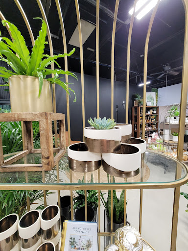 Florist «In Bloom Florist- Orlando, Florida», reviews and photos, 325 W Gore St, Orlando, FL 32806, USA