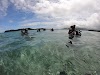 Japanese Seaplane Ramp Logo, Kolonia, Micronesia, Historical Place
