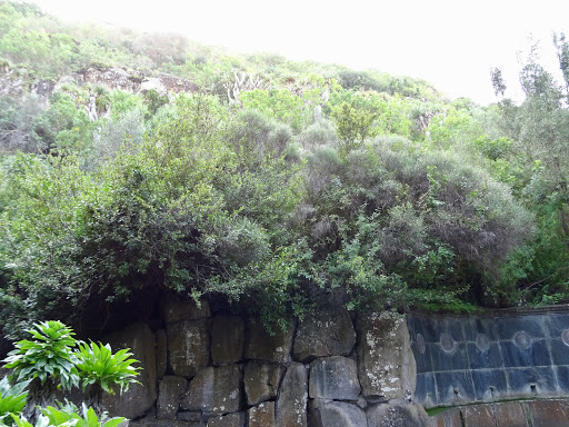La Fuente De Los Sabios Gran Canaria