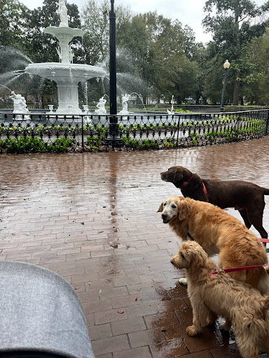 Lexington Animal Clinic image