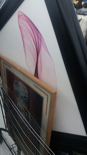 Thrift Store «Thrift Giant», reviews and photos, 10544 Harry Hines Blvd, Dallas, TX 75220, USA