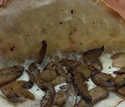 Restaurant Reino Salvaje photo