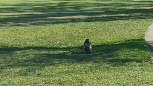 The Golf Club at Rancho California image