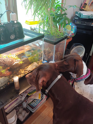 Pet Supply Store «Lacey Pet Supply», reviews and photos, 441 Lacey Rd, Forked River, NJ 08731, USA