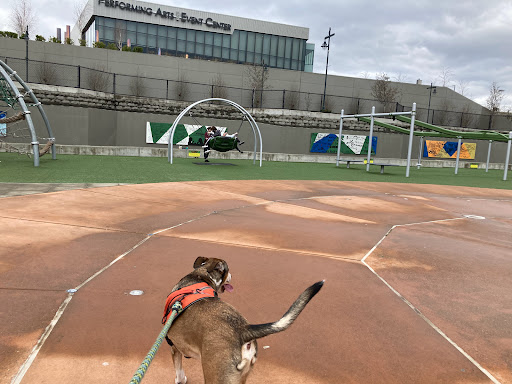 Park «Celebration Park», reviews and photos, 1095 S 324th St, Federal Way, WA 98003, USA