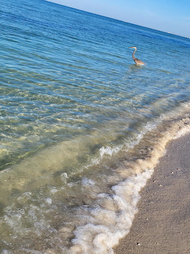 Bar «Beach Box Cafe», reviews and photos, 9020 Gulf Shore Dr, Naples, FL 34108, USA