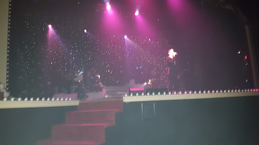 Performing Arts Theater «Savannah Theatre», reviews and photos, 222 Bull St, Savannah, GA 31401, USA