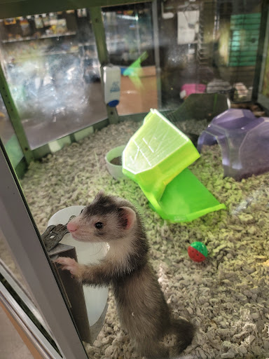 Pet Supply Store «Petco Animal Supplies», reviews and photos, 1011 University Blvd #100, Suffolk, VA 23435, USA