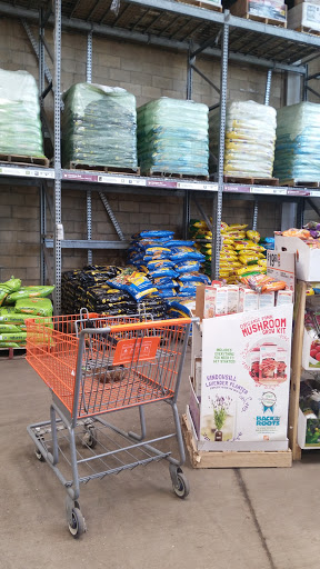 Garden Center at The Home Depot image 9