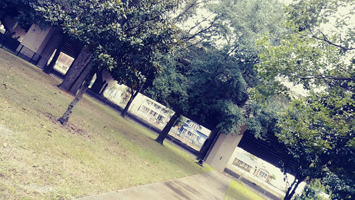 Park «Riverside Park», reviews and photos, 753 Park St, Jacksonville, FL 32204, USA