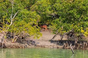 Book My Sundarban Trip.com image