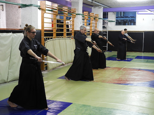 Martial arts classes Turin