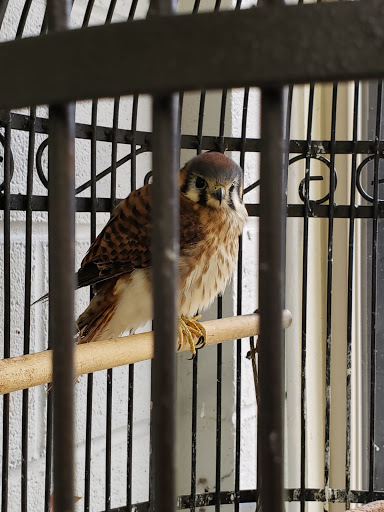 National Forest «Land Between the Lakes National Recreation Area», reviews and photos, 238 Visitor Center Dr, Golden Pond, KY 42211, USA