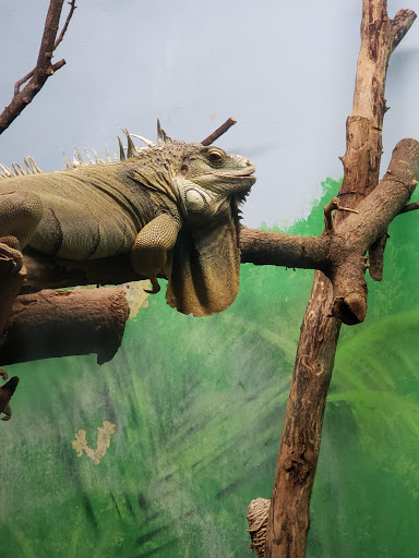 Zoo «Potawatomi Zoo», reviews and photos, 500 S Greenlawn Ave, South Bend, IN 46615, USA