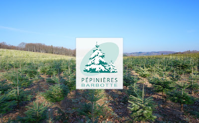 Pépinières Barbotte - Producteur d'arbres de Noël à Moux-en-Morvan