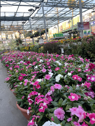 Home Improvement Store «The Home Depot», reviews and photos, 2055 N Figueroa St, Los Angeles, CA 90065, USA