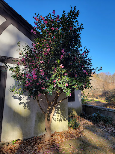 Museum «Reynolda House Museum of American Art», reviews and photos, 2250 Reynolda Rd, Winston-Salem, NC 27106, USA