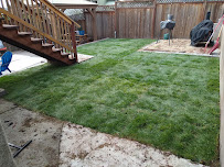 Mendoza Landscaping Service - Photo 2 - Car repair in Oakland, CA, Oakland