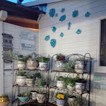 Photo n°2 de l'avis de Francesca.i fait le 01/08/2019 à 05:28 sur le  Playa Del Sol à Marina di Pescia Romana