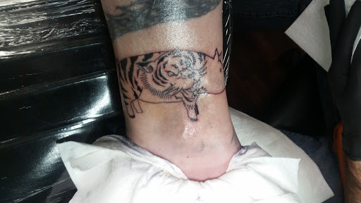 Tattoo Shop «Evolution Tattoo», reviews and photos, 1092 S Virginia St, Reno, NV 89502, USA