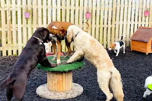 Oswaldtwistle Dog Park & Doggy Daycare image