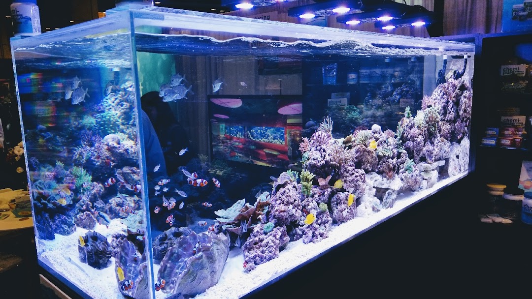AquaTec Aquarium Solutions