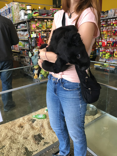 Pet Store «Critter Cabana - Wilsonville», reviews and photos, 8406 SW Main St #200, Wilsonville, OR 97070, USA