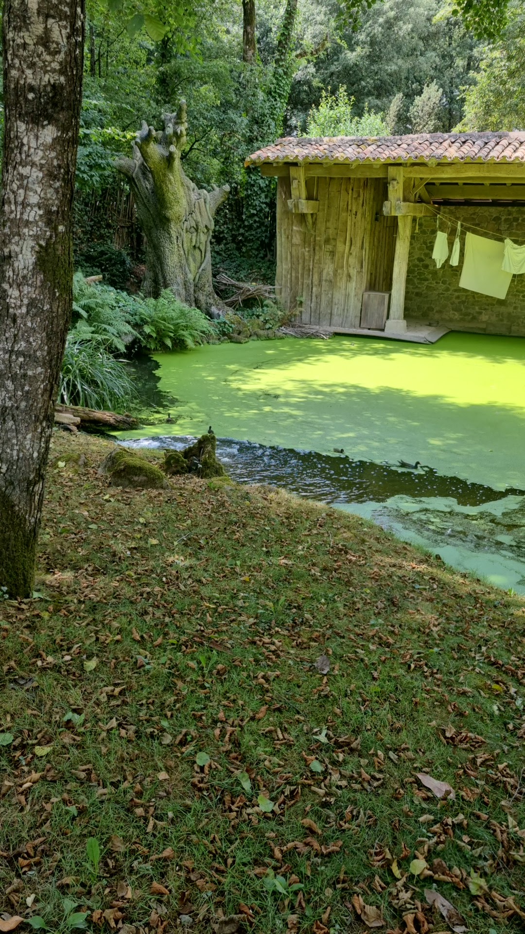 Photo n° 14 de l'avis de aurelien.a fait le 30/07/2022 à 12:37