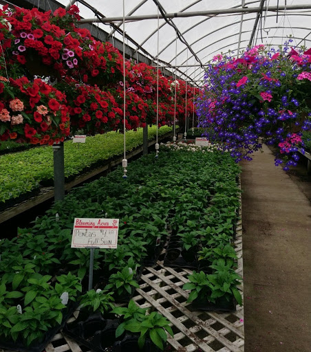 Plant Nursery «Blooming Acres», reviews and photos, 7561 State Rd, Wadsworth, OH 44281, USA