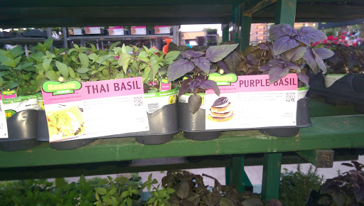 Home Improvement Store «The Home Depot», reviews and photos, 4000 Oxford Dr, Bethel Park, PA 15102, USA