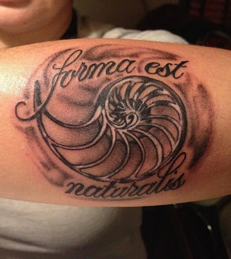 Tattoo Shop «Looking Glass Tattoos», reviews and photos, 207 Drum Point Rd, Brick, NJ 08723, USA