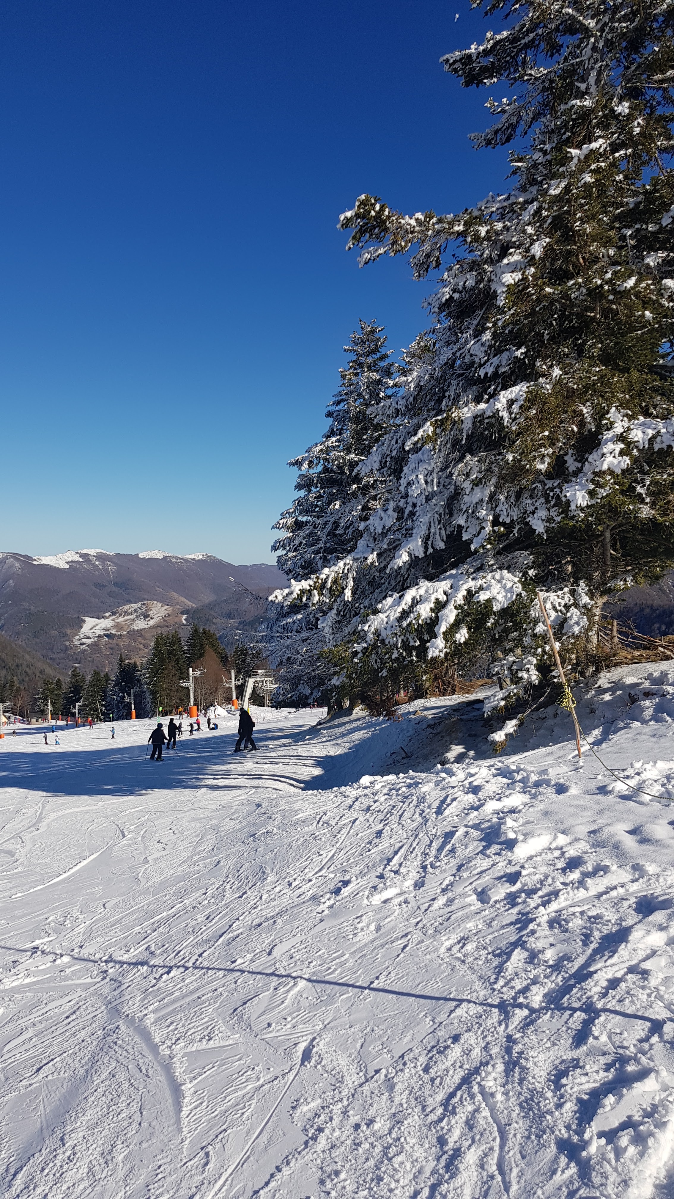 Photo n° 5 de l'avis de maxime.a fait le 22/01/2022 à 21:30
