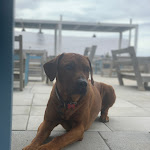 Photo n°2 de l'avis de giuliano.o fait le 17/05/2021 à 15:27 sur le  Boa Sorte à Tarquinia