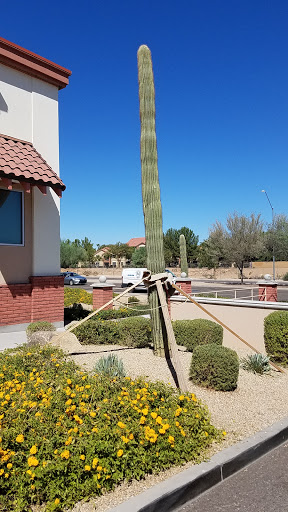 Drug Store «CVS», reviews and photos, 7111 E Bell Rd, Scottsdale, AZ 85254, USA