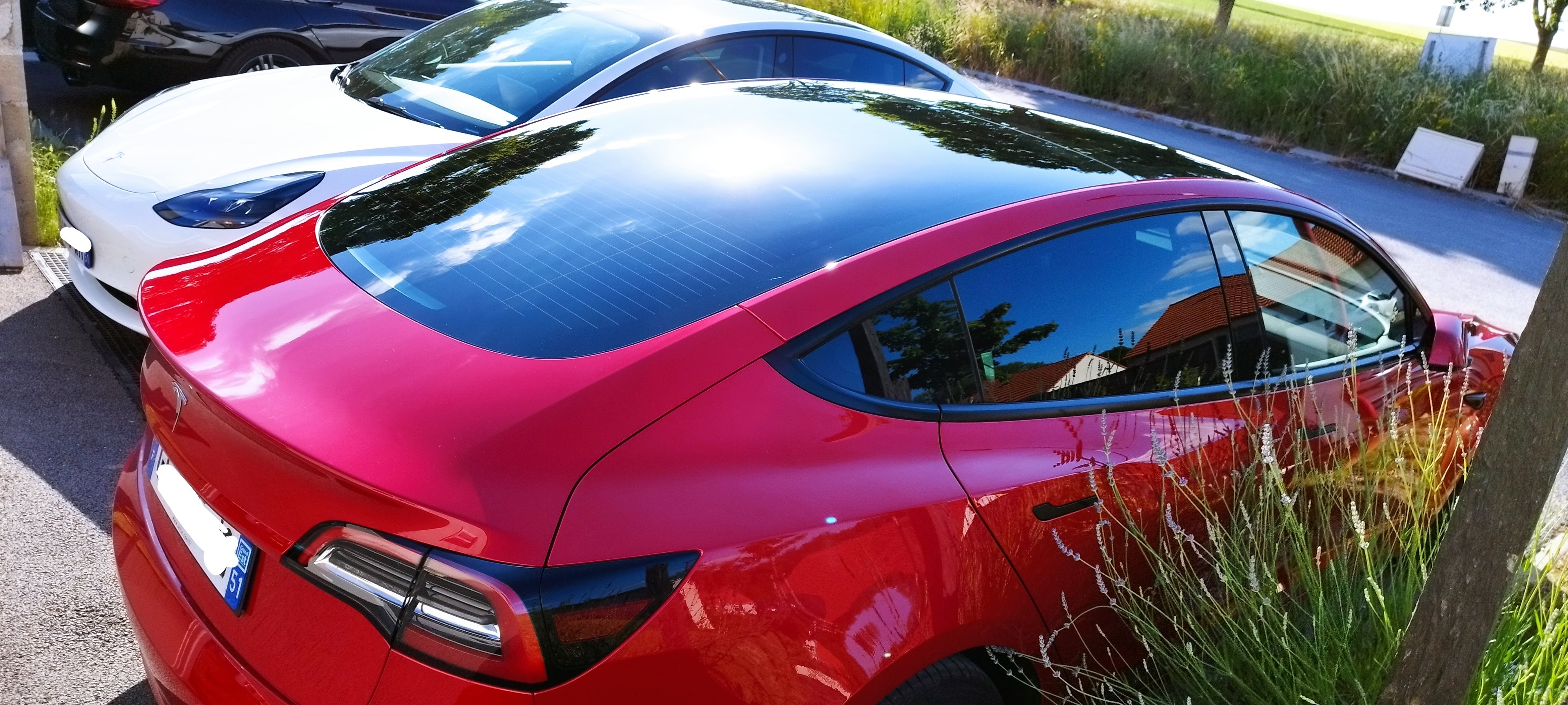 Photo n° 8 de l'avis de Kristof.a fait le 20/07/2021 à 17:02