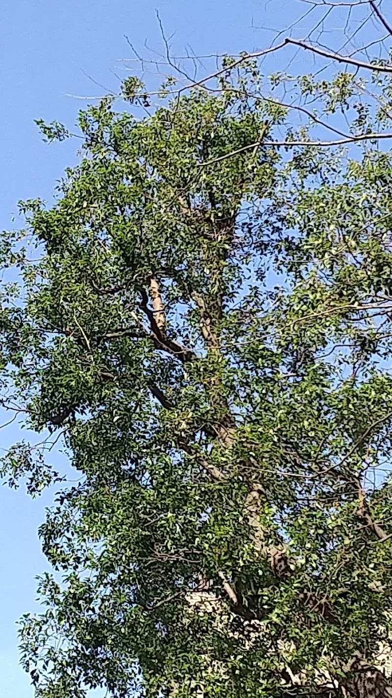 鳥見パークマンション三番街南棟