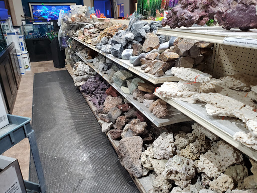 Tropical Fish Store «Dallas North Aquarium», reviews and photos, 2910 E Trinity Mills Rd, Carrollton, TX 75006, USA