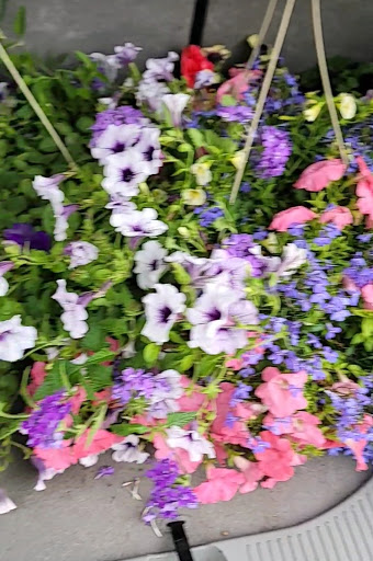 Pet Store «G & M Pet & Garden Center Inc», reviews and photos, 2014 N Walnut St, Muncie, IN 47303, USA