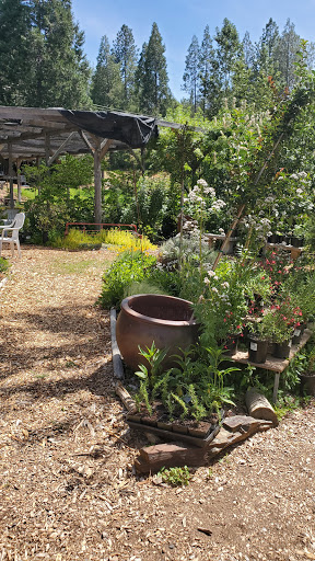 Coffee Shop «Mountain Sage», reviews and photos, 18653 Main St, Groveland, CA 95321, USA